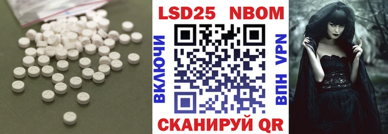 MEGA как войти  Злынка  ЛСД экстази ecstasy  как найти закладки 