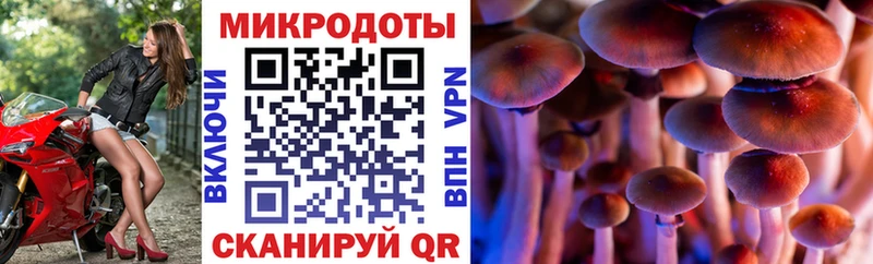 Псилоцибиновые грибы мицелий  ОМГ ОМГ онион  Злынка 